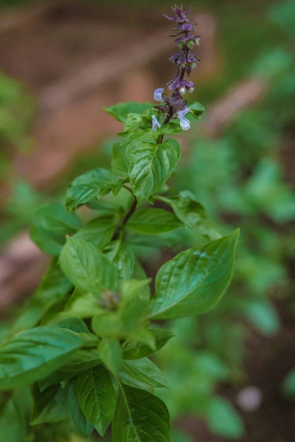 Ultimate Guide to Fashioning Sustainable High-Tech Fabrics for Your UK Outdoor Adventure